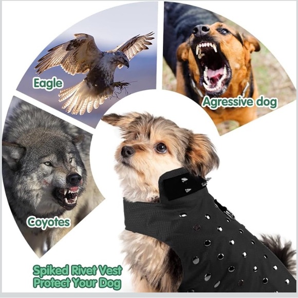 Spiked Dog Vest Black 🥳HOST PICK🥳 - Picture 4 of 11